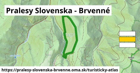 Pralesy Slovenska - Brvenné