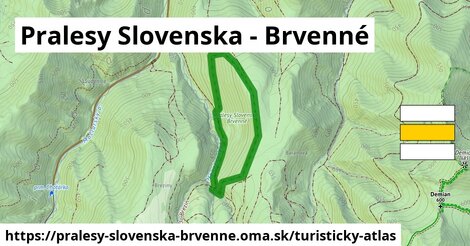 Pralesy Slovenska - Brvenné