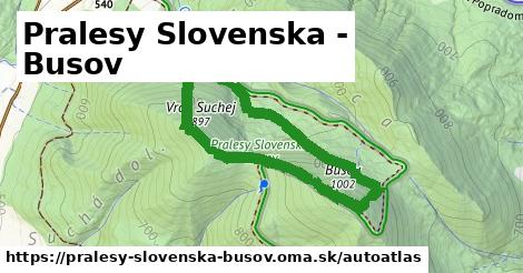 ikona Mapa autoatlas v pralesy-slovenska-busov