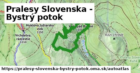 ikona Mapa autoatlas v pralesy-slovenska-bystry-potok