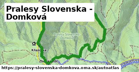 ulice v Pralesy Slovenska - Domková