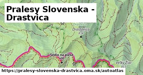 ikona Mapa autoatlas v pralesy-slovenska-drastvica