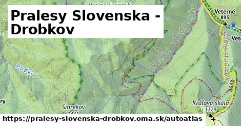 ikona Mapa autoatlas v pralesy-slovenska-drobkov