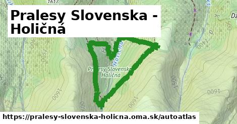 ikona Mapa autoatlas v pralesy-slovenska-holicna