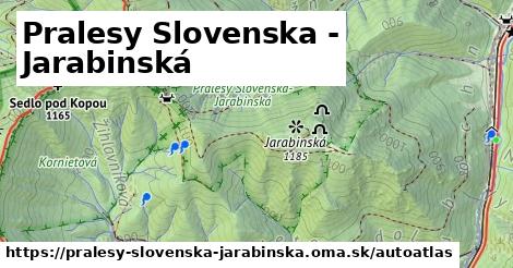 ikona Mapa autoatlas v pralesy-slovenska-jarabinska