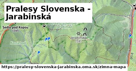 ikona Pralesy Slovenska - Jarabinská: 0 m trás zimna-mapa v pralesy-slovenska-jarabinska