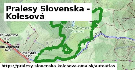 ikona Mapa autoatlas v pralesy-slovenska-kolesova