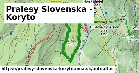 ikona Mapa autoatlas v pralesy-slovenska-koryto