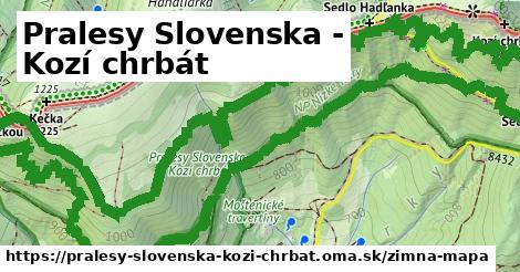 ikona Pralesy Slovenska - Kozí chrbát: 125 m trás zimna-mapa v pralesy-slovenska-kozi-chrbat