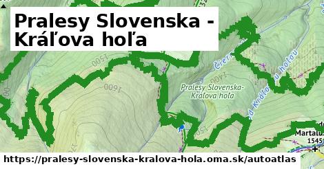 ikona Mapa autoatlas v pralesy-slovenska-kralova-hola
