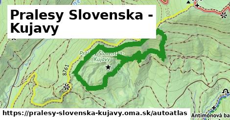 ulice v Pralesy Slovenska - Kujavy