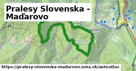 ikona Mapa autoatlas v pralesy-slovenska-madarovo