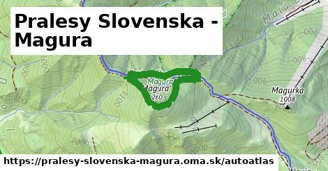 ikona Mapa autoatlas v pralesy-slovenska-magura