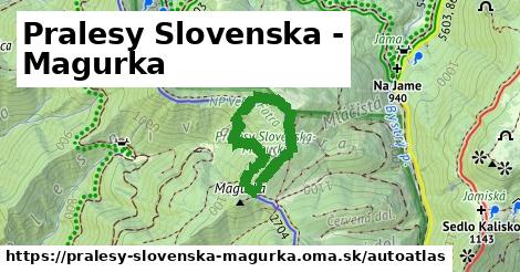 ikona Mapa autoatlas v pralesy-slovenska-magurka