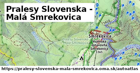 ikona Mapa autoatlas v pralesy-slovenska-mala-smrekovica