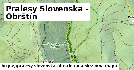 ikona Zimná mapa zimna-mapa v pralesy-slovenska-obrstin