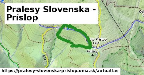 ikona Mapa autoatlas v pralesy-slovenska-prislop