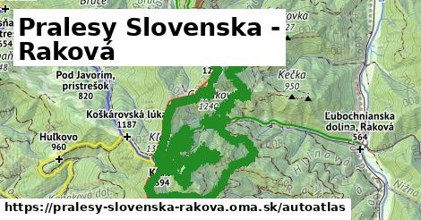 ikona Mapa autoatlas v pralesy-slovenska-rakova