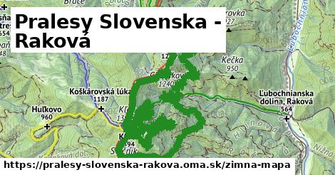 ikona Zimná mapa zimna-mapa v pralesy-slovenska-rakova