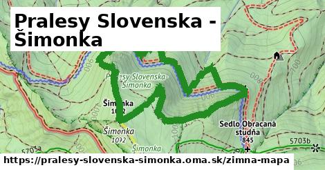 ikona Zimná mapa zimna-mapa v pralesy-slovenska-simonka