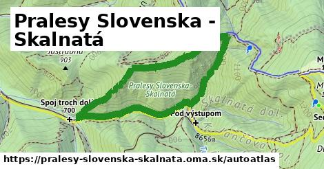 ikona Mapa autoatlas v pralesy-slovenska-skalnata