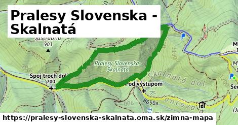 ikona Zimná mapa zimna-mapa v pralesy-slovenska-skalnata