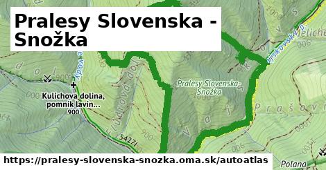 ikona Mapa autoatlas v pralesy-slovenska-snozka