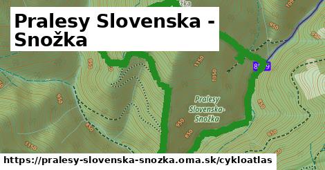 ikona Cyklo cykloatlas v pralesy-slovenska-snozka