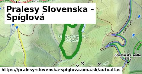 ikona Mapa autoatlas v pralesy-slovenska-spiglova