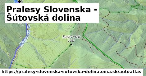 ulice v Pralesy Slovenska - Šútovská dolina