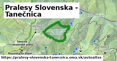 ikona Mapa autoatlas v pralesy-slovenska-tanecnica