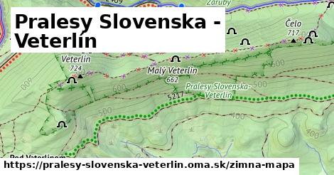 ikona Zimná mapa zimna-mapa v pralesy-slovenska-veterlin