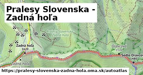 ulice v Pralesy Slovenska - Zadná hoľa
