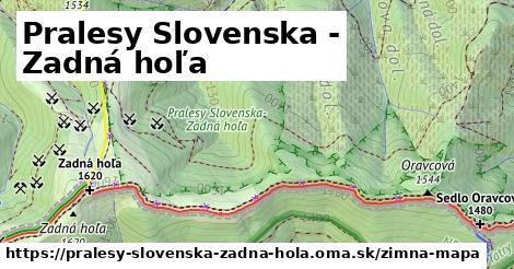 ikona Zimná mapa zimna-mapa v pralesy-slovenska-zadna-hola
