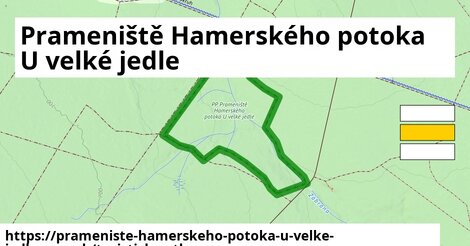 Prameniště Hamerského potoka U velké jedle