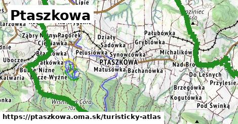 ikona Turistická mapa turisticky-atlas v ptaszkowa