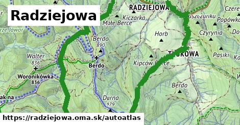 ikona Mapa autoatlas v radziejowa