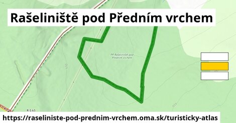 Rašeliniště pod Předním vrchem