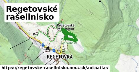 ulice v Regetovské rašelinisko