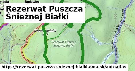 ikona Mapa autoatlas v rezerwat-puszcza-snieznej-bialki