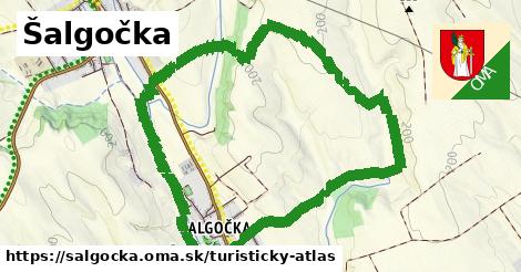 Šalgočka