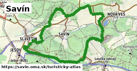 Savín