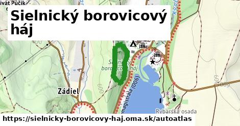 ulice v Sielnický borovicový háj