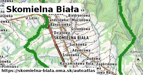 ikona Mapa autoatlas v skomielna-biala