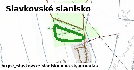 ulice v Slavkovské slanisko