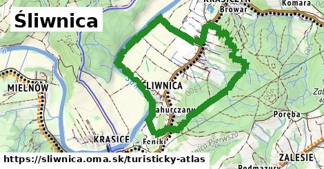 ikona Turistická mapa turisticky-atlas v sliwnica