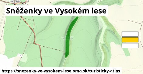 Sněženky ve Vysokém lese