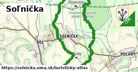 Soľnička