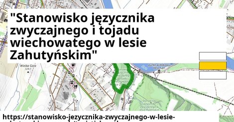 "Stanowisko języcznika zwyczajnego i tojadu wiechowatego w lesie Zahutyńskim"