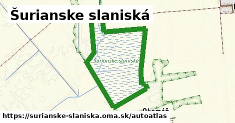 ulice v Šurianske slaniská